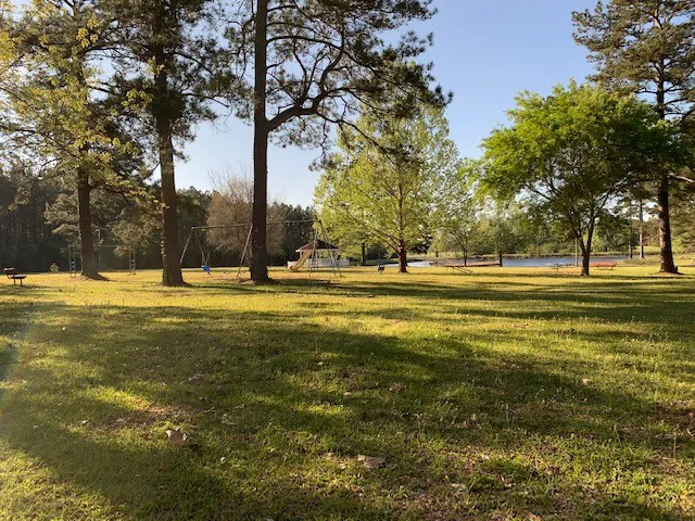 Lil Piney Park 1