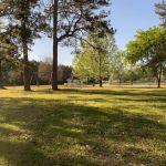Lil Piney Park