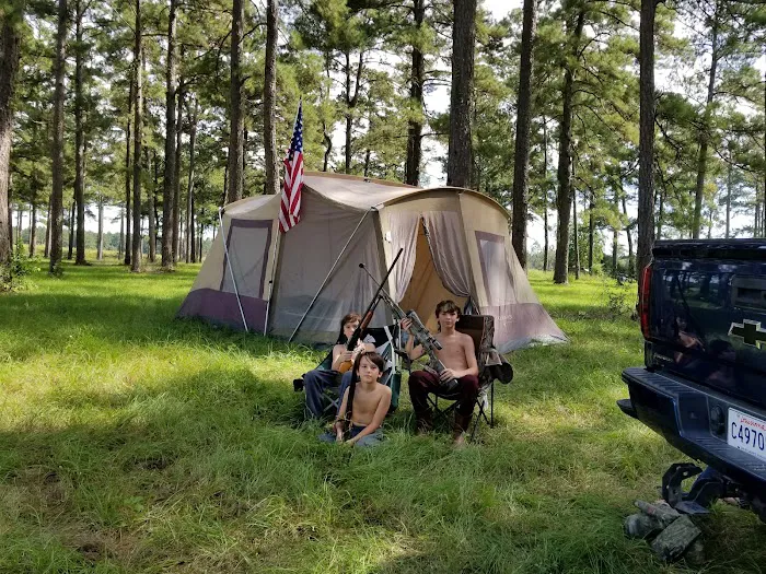 Wolf Bay Campground 6