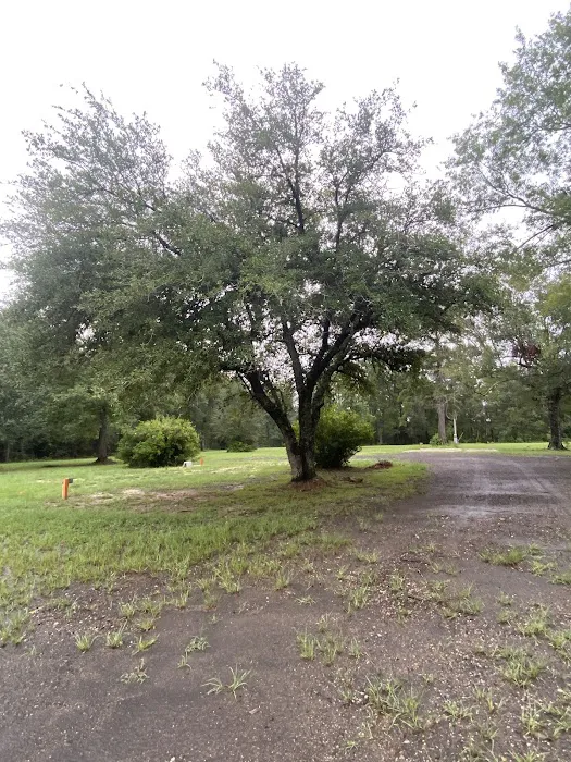 Sugartown Acres 2