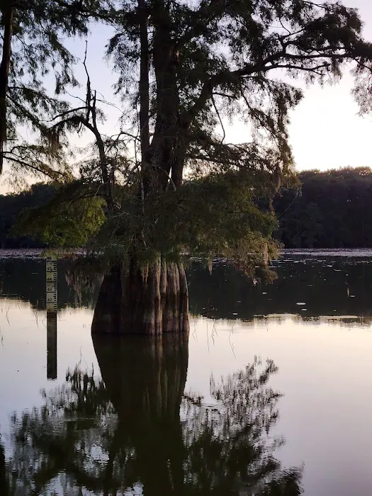 Grand Lac Campground 4