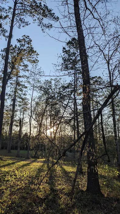 Indian Springs Campground 1