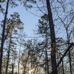 Indian Springs Campground