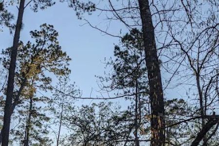 Indian Springs Campground