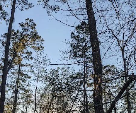 Indian Springs Campground