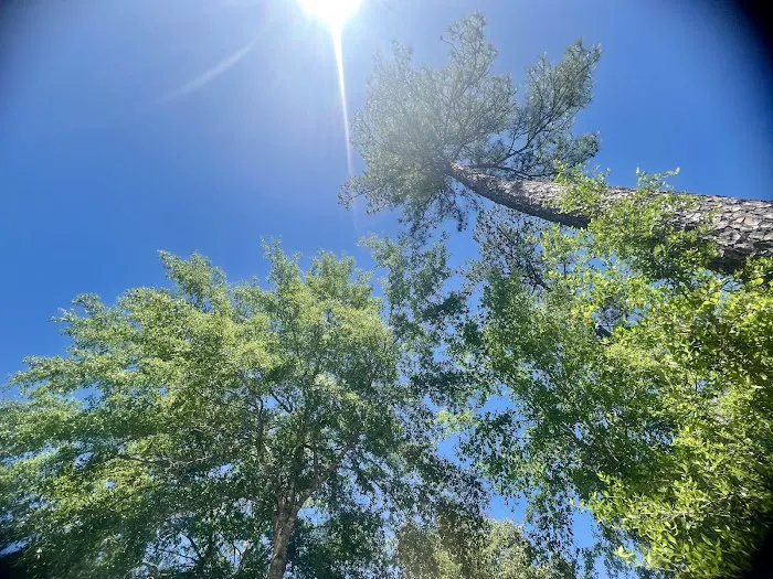 Pleasant Pines RV Park 4