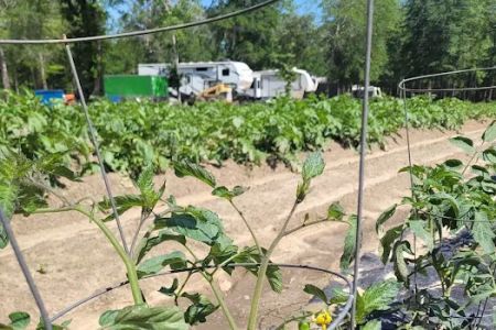Big Thicket Hideaway RV Park