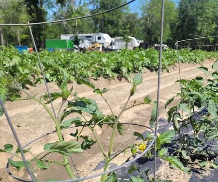 Big Thicket Hideaway RV Park