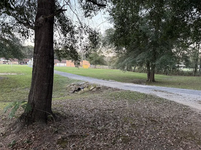 Fm 787 Thicket RV Park 4
