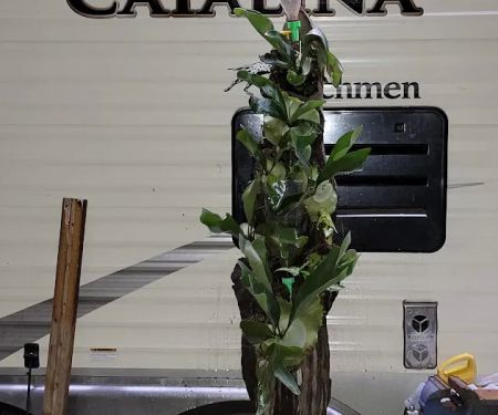 Eagles Net Campground