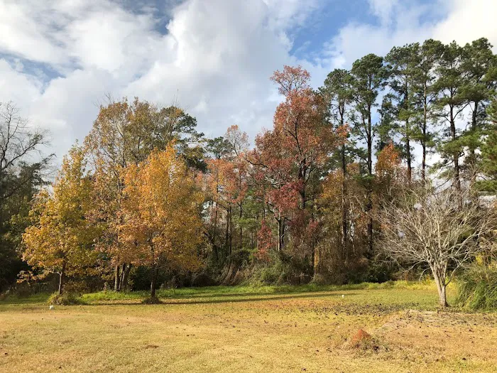 Magnolia RV Park 6