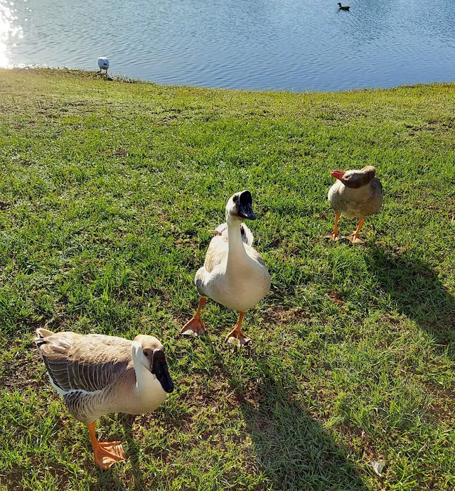 Thompson Lake RV Resort 9