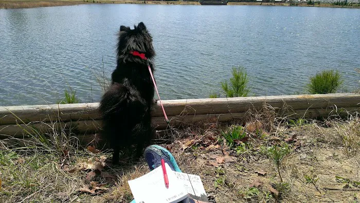 Thomson Lake Recreation Park 4