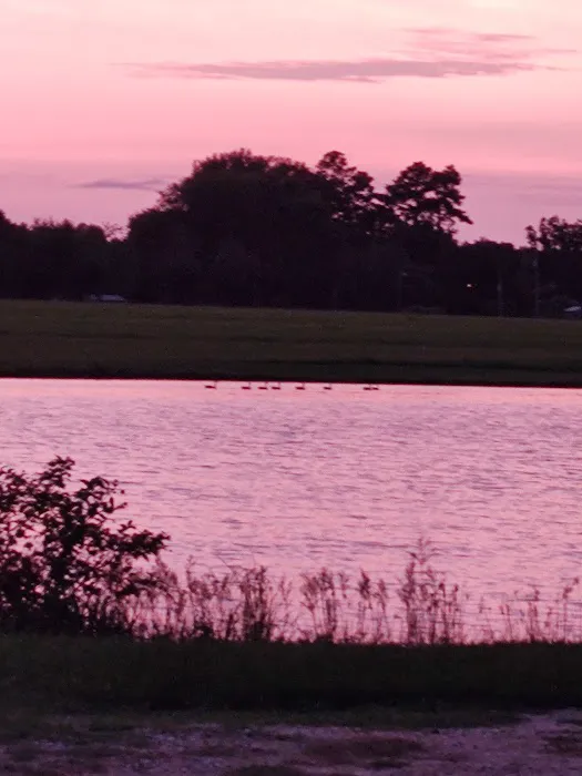 Briar patch RV park warren ar 8