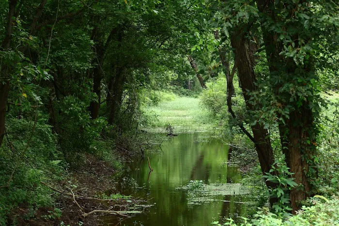 Red River Bay Campground 2