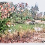 3 M’s Farm RV Sites