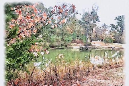 3 M’s Farm RV Sites