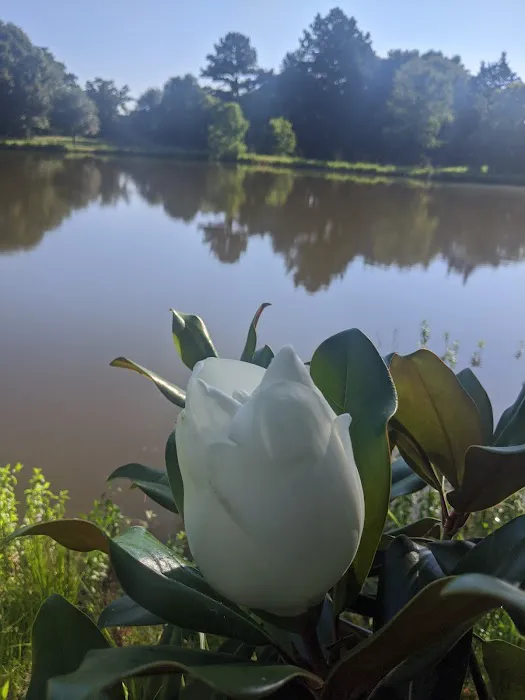 Kozy Lakes RV Park 3