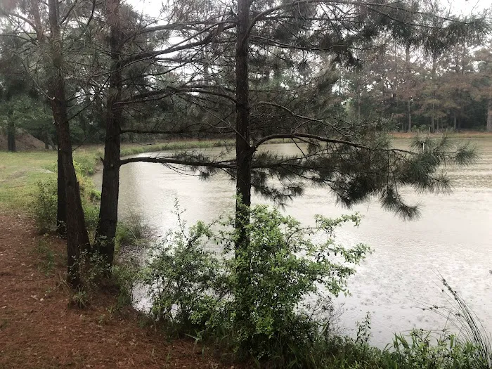 Kozy Lakes RV Park 5