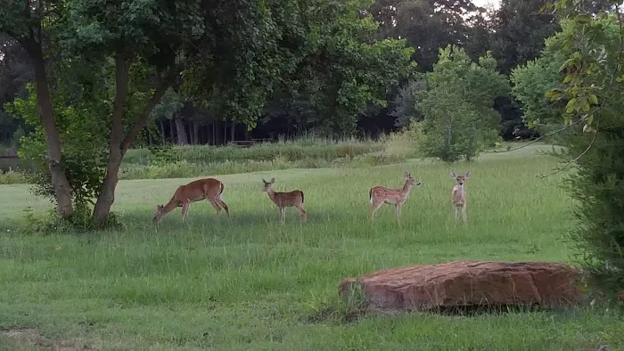 Kozy Lakes RV Park 4