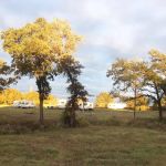 McKinney's RV Park