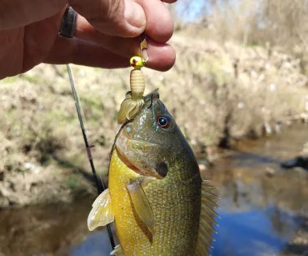 Oak Forest Mobile Home Park