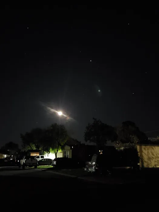 Oak Forest Mobile Home Park 5