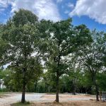 Shaded Acres RV Park & Campground