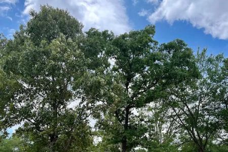 Shaded Acres RV Park & Campground