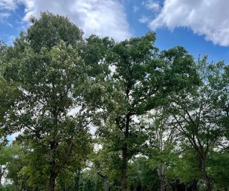 Shaded Acres RV Park & Campground