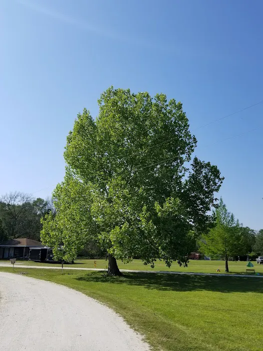 Running Branch Campground & Marina 4