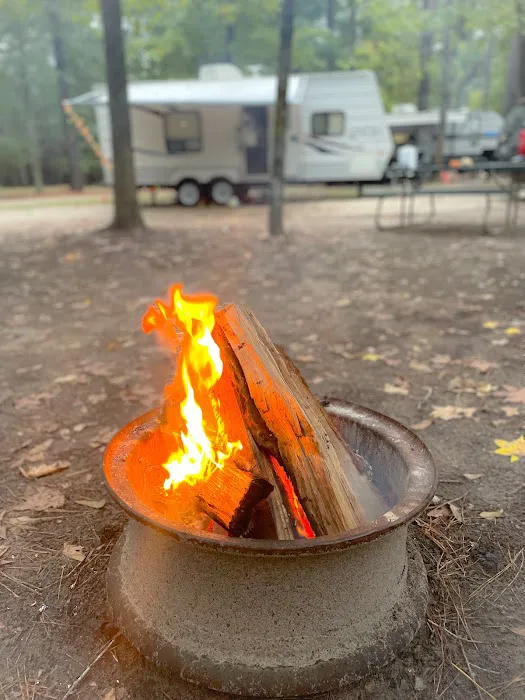 Made in the Shade RV Park 4