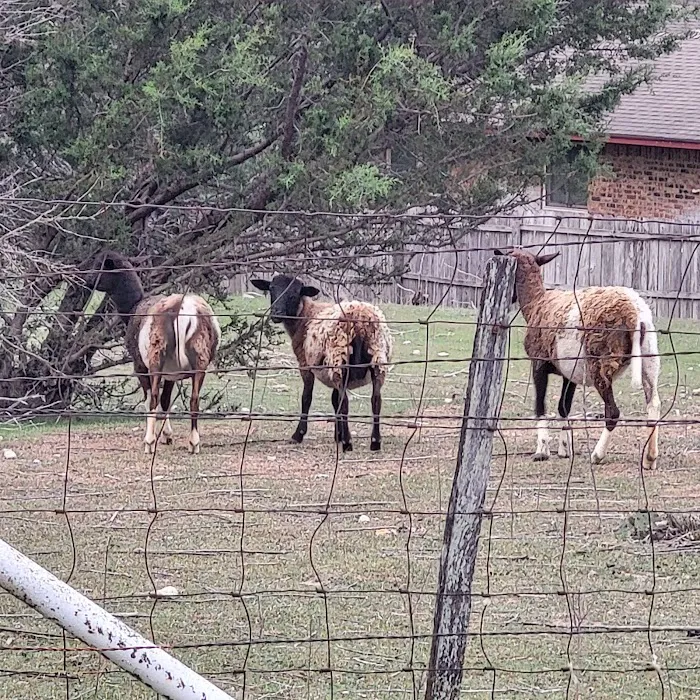 Hooves N Wheels RV Park 8