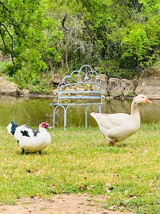 Rolling Creek RV Park 5