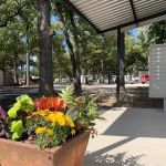 The Oaks On Henderson