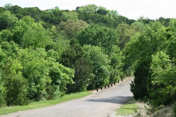 Thousand Trails Lake Whitney 6
