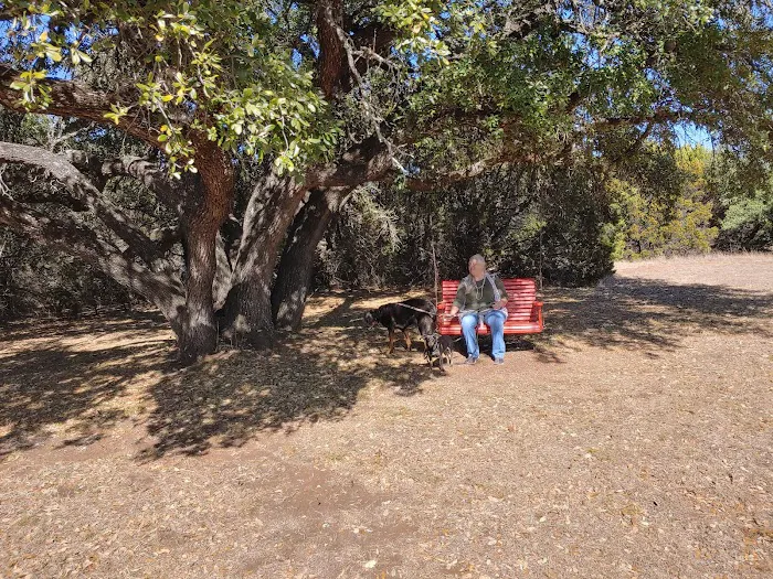 Lake Whitney Camping Resort Ramp Cabin 2 5