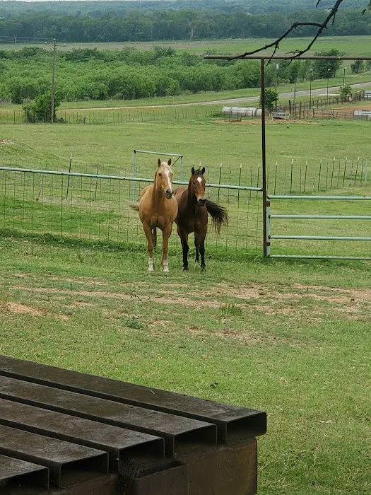 Helm Ranch RV Park 5