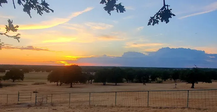 Helm Ranch RV Park 4