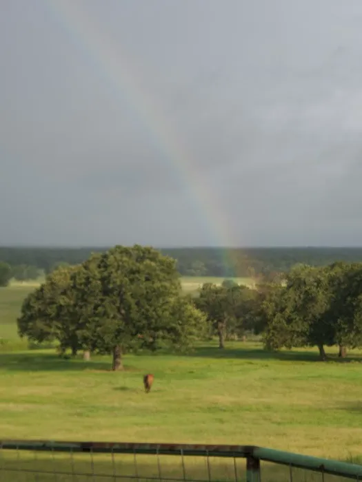 Helm Ranch RV Park 8