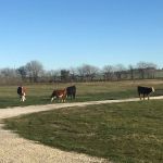 Whitney Willow RV Park