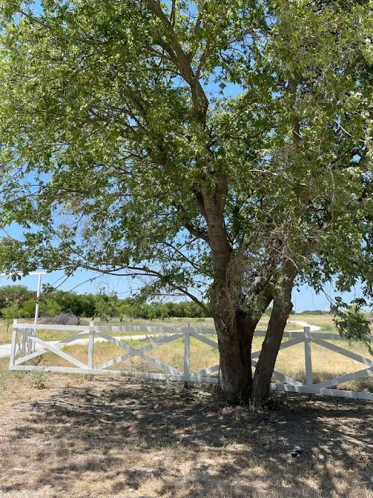 Whitney Willow RV Park 6