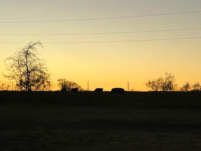 Whitney Willow RV Park 4