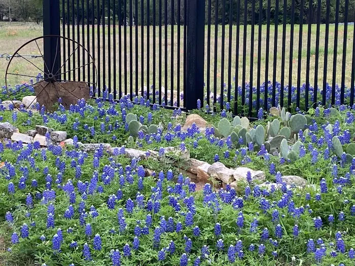 Brazos River RV Park 5