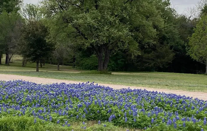 Brazos River RV Park 9