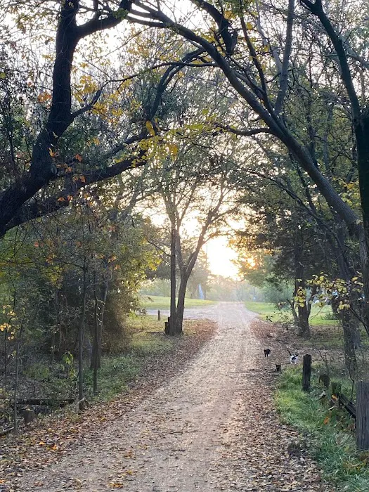 Brazos River RV Park 10