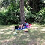 Wynnhaven Cove Mobile Home Park