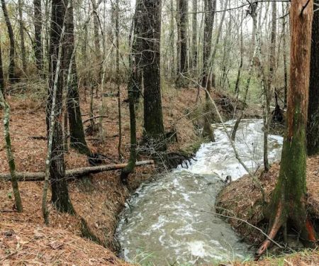 The Ark at Oxbow Lake