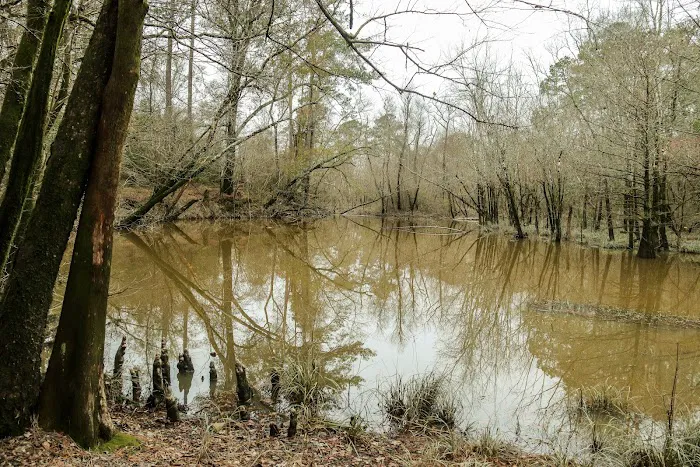 The Ark at Oxbow Lake 3