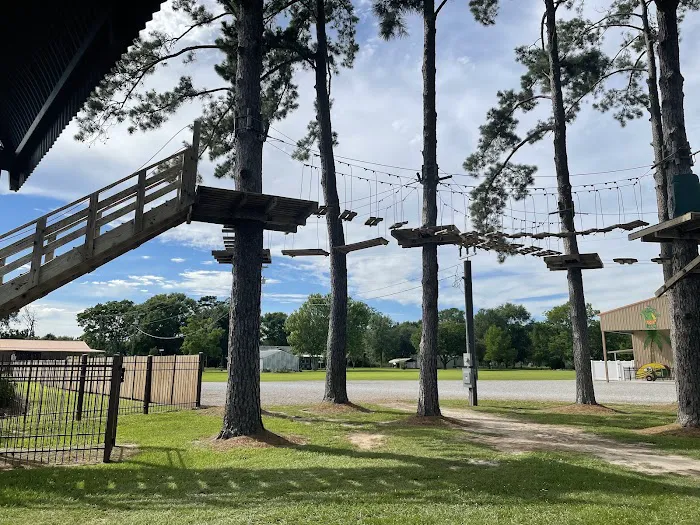 Gator Grounds RV Resort 5